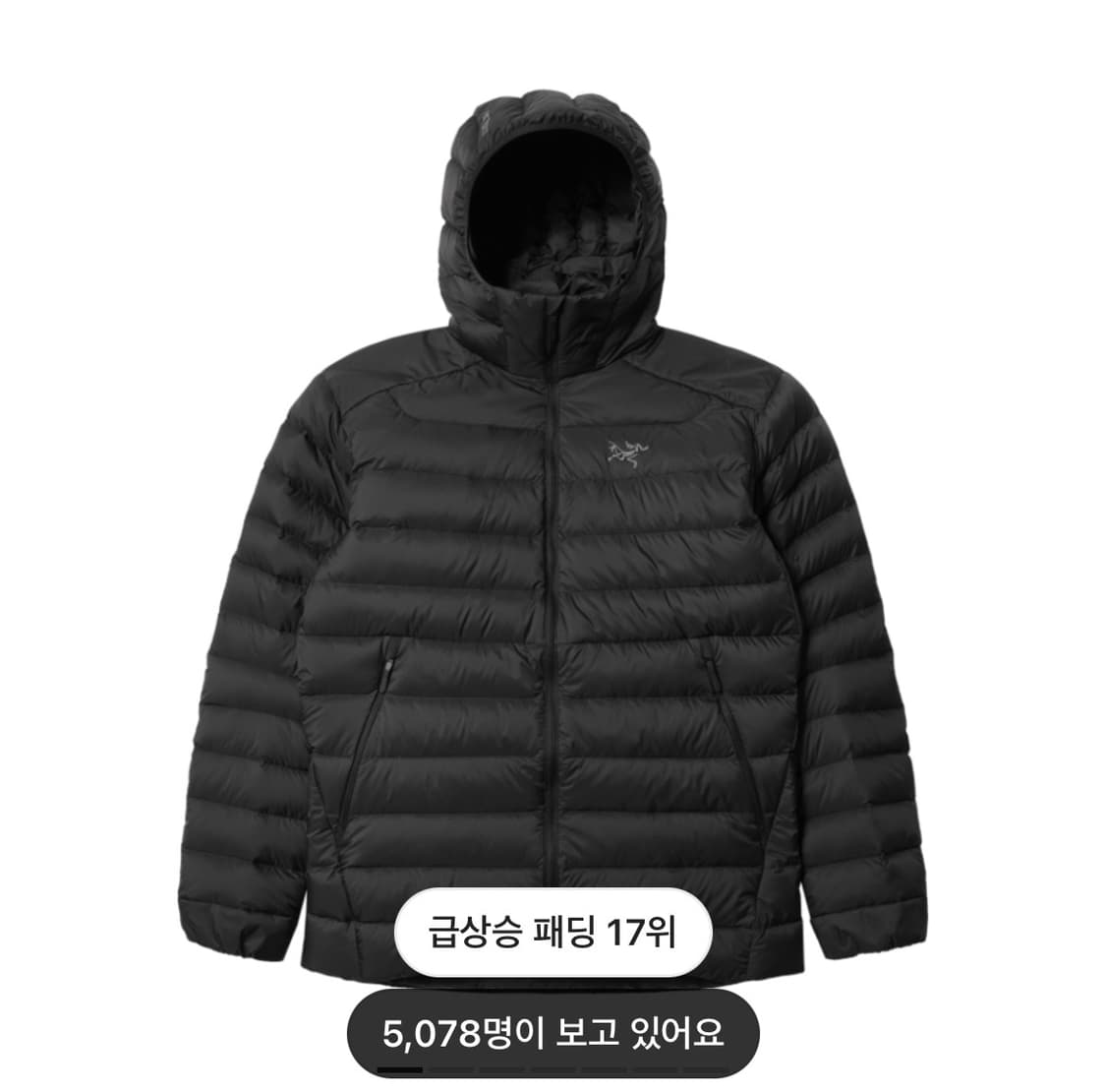 아크테릭스 세륨 후디 남성 블랙 M 상품이미지1