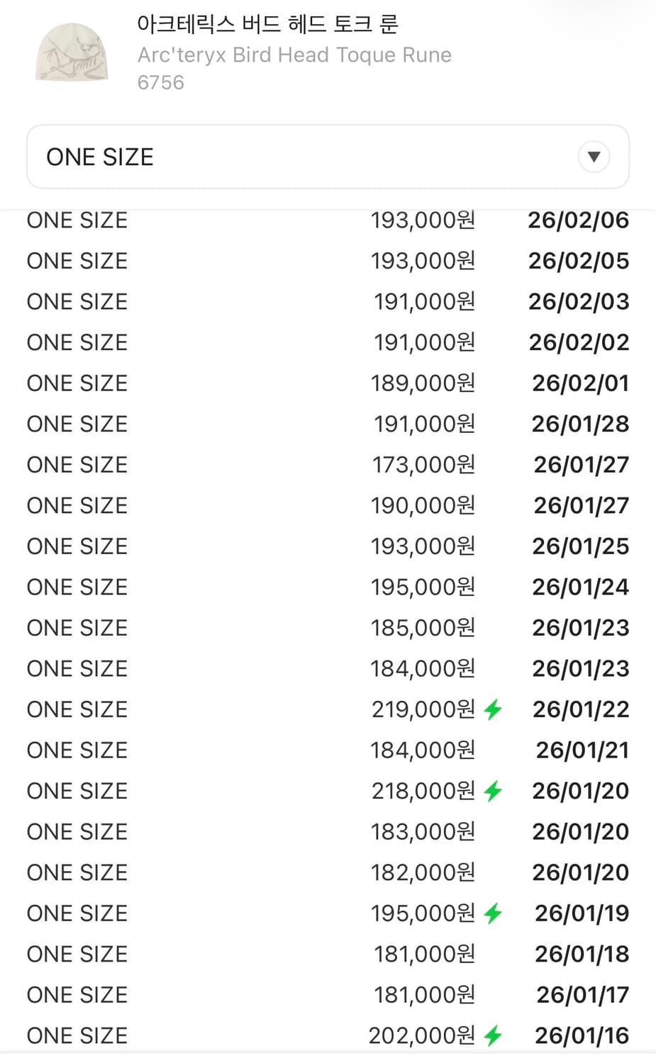 아크테릭스 버드 헤드 토크 룬 상품이미지7