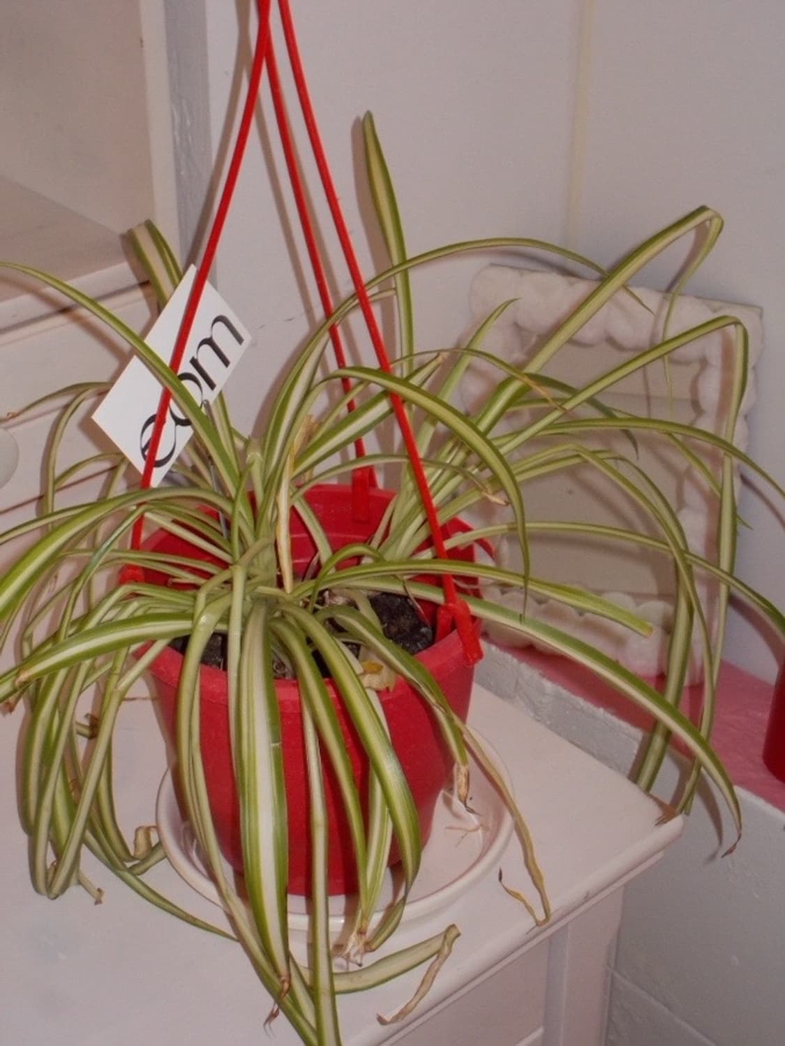 (작례O) 니콘 쿨픽스 S01 상품이미지9