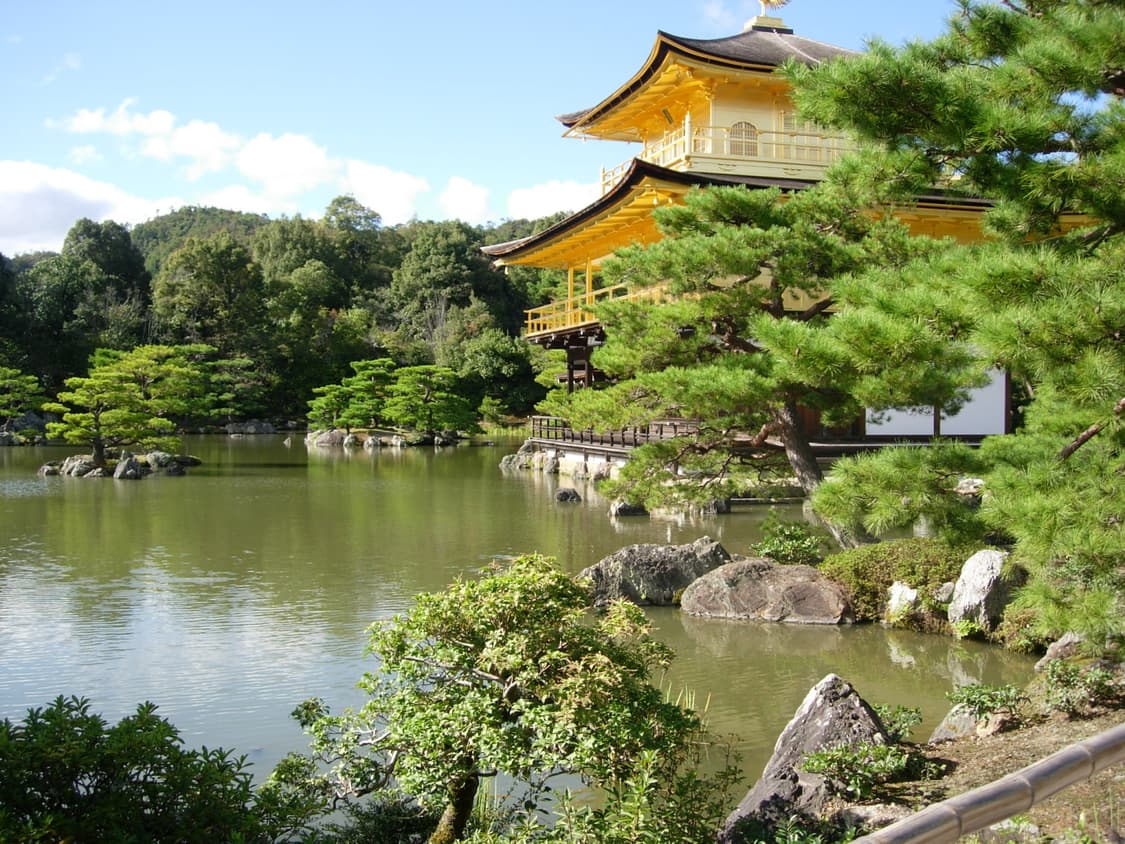 Coolpix 5200 Nikon 쿨픽스 상품이미지9