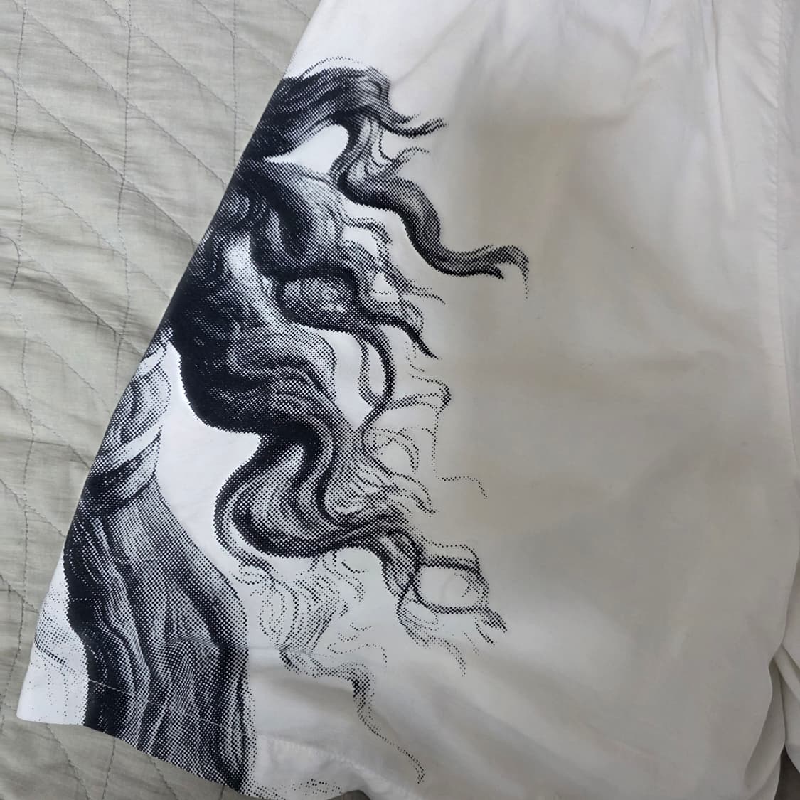 [L] 스투시 비너스 하프팬츠 / 쇼츠 상품이미지4