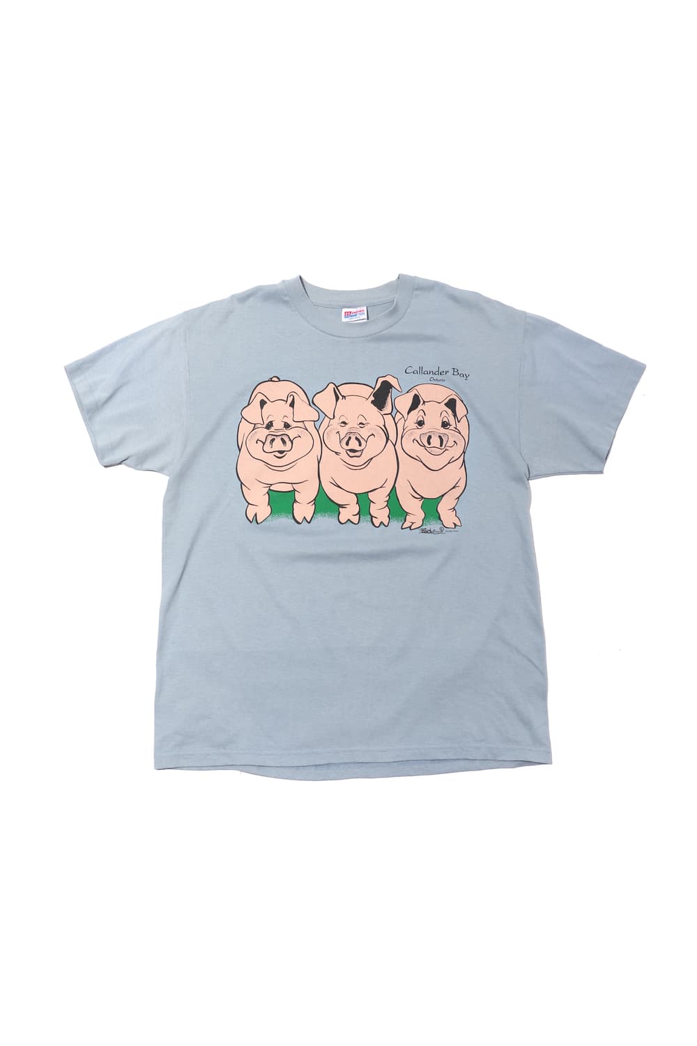 HANES 90s 원스티치 복돼지 반팔티셔츠 size L 상품이미지1