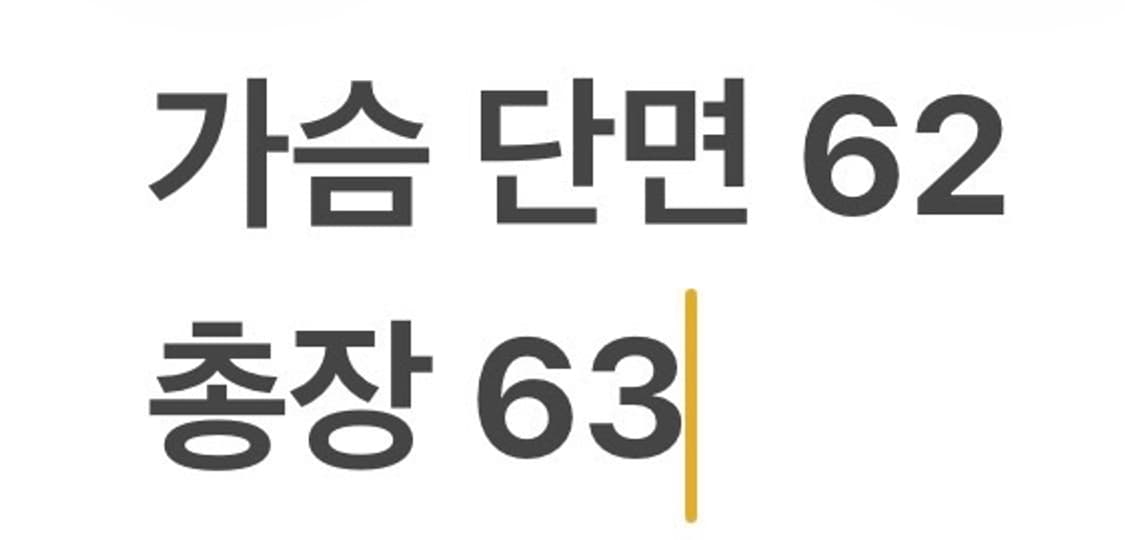 [정품] 노이어 블랙 레더 지퍼 자켓 b12 상품이미지8