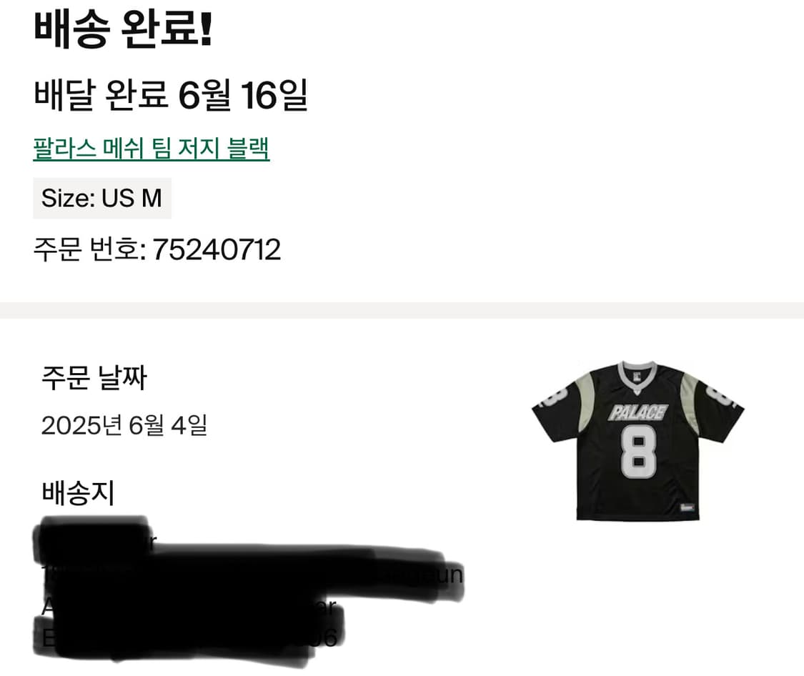 팔라스 팀 메시 저지,쇼츠 일괄판매 상품이미지1