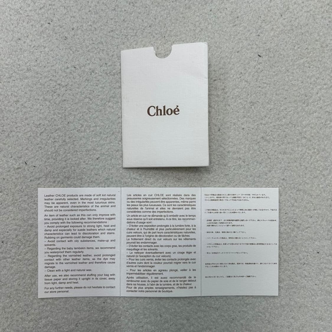 끌로에 실버라도 파이톤 도트백 한정판 상품이미지8