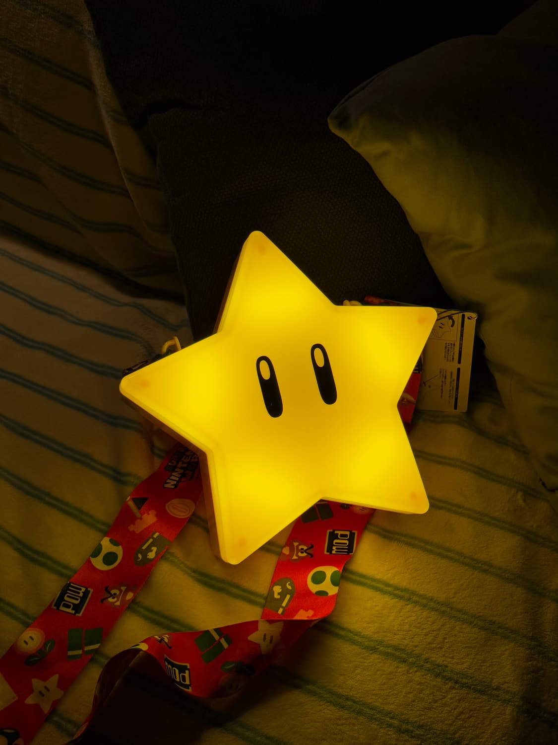 [정품] 유니버셜 스튜디오 재팬 별 팝콘 케이스 상품이미지1