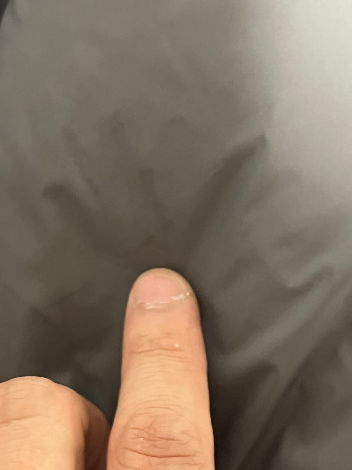 비헤비어 폴라베어 회색 3 사이즈 팝니다.  상품이미지6