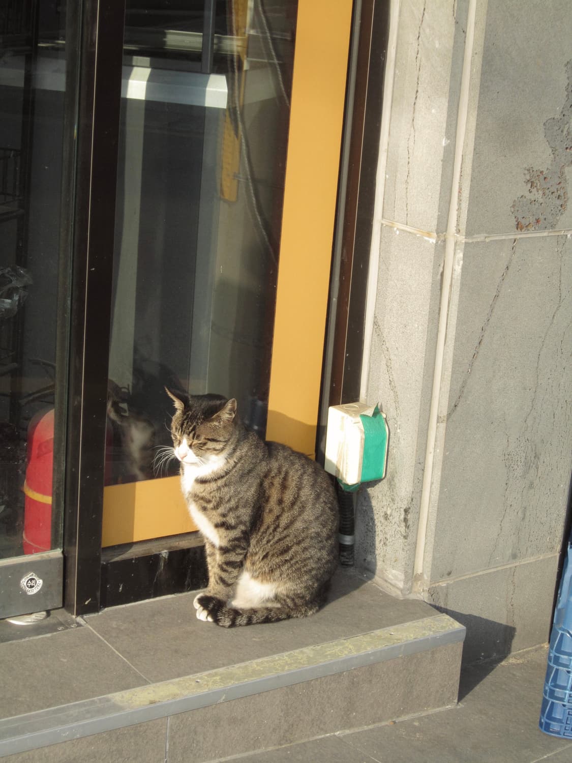 캐논 익서스 210 ixus 빈티지 핑크 디카 디지털 카메라 상품이미지7