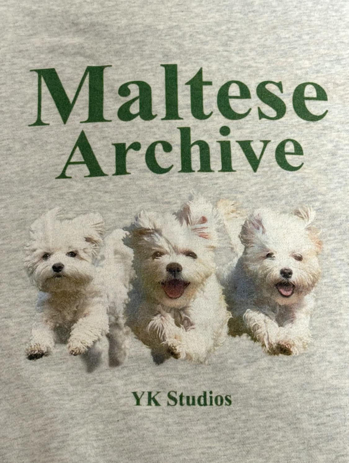 와이케이 말티즈 아카이브 맨투맨 상품이미지2