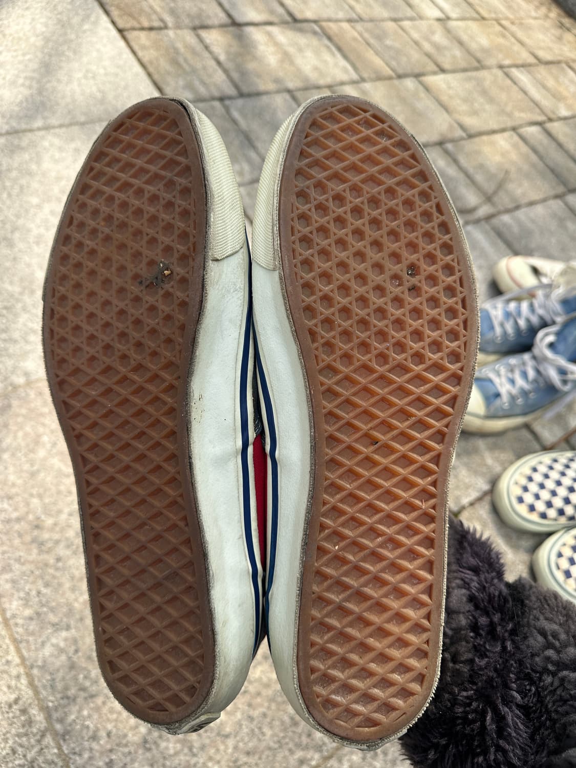 [11] 80s 반스 독타운 에라 상품이미지3