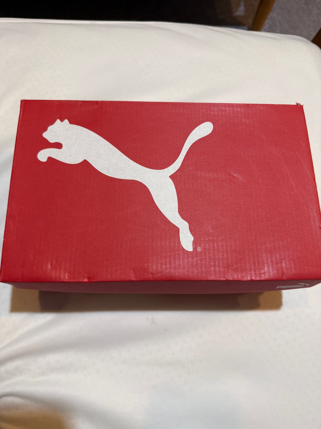 푸마 글로스 패딩 뮬 블랙 250 상품이미지2