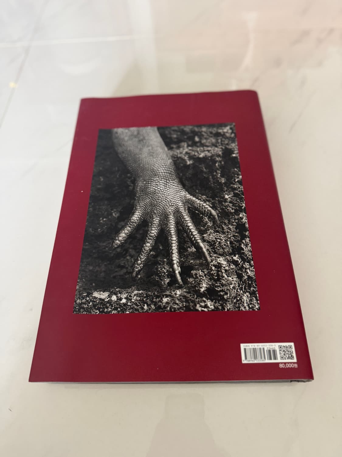 GENESIS : 세바스티앙 살가도 제네시스 상품이미지3