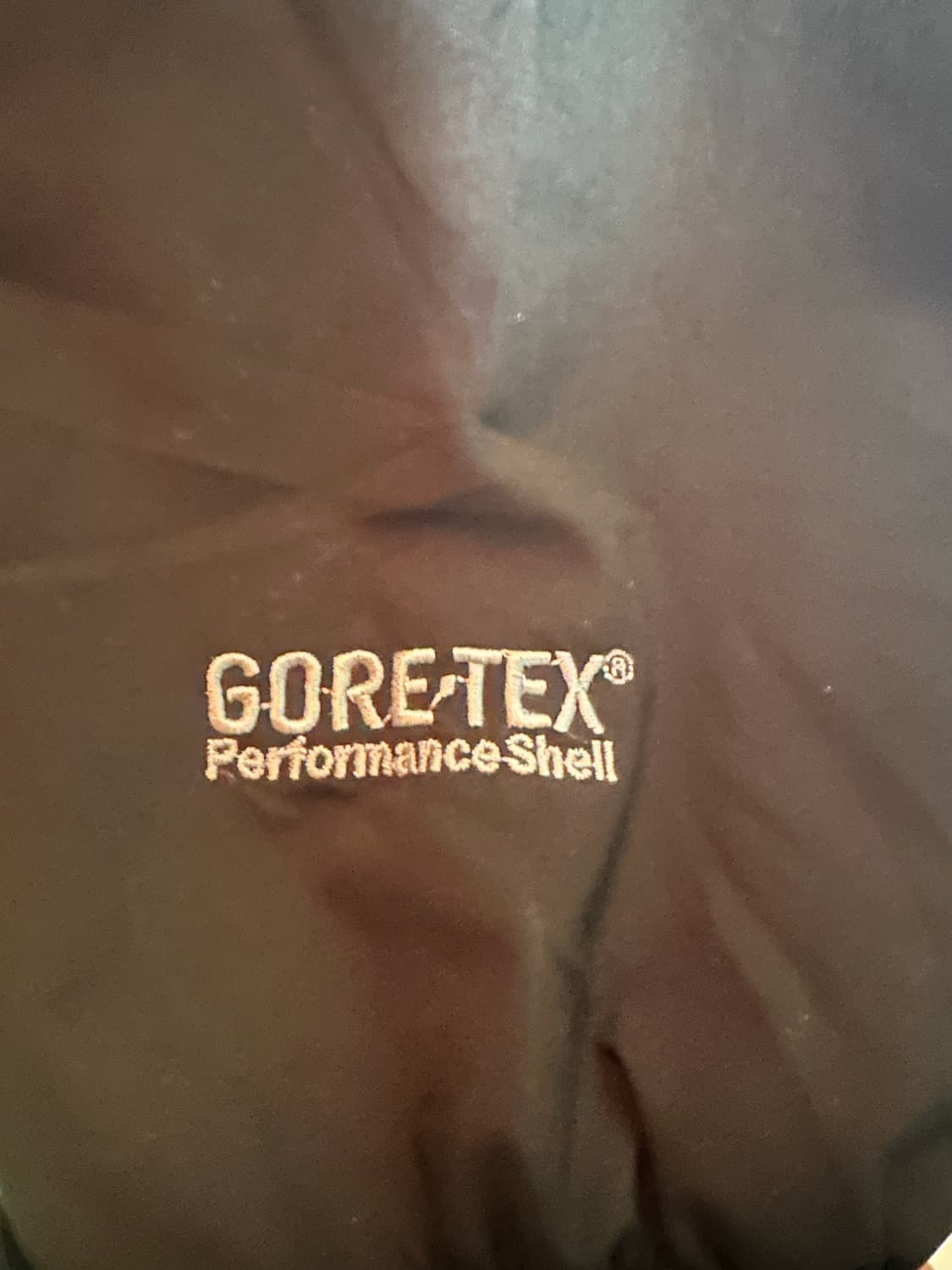 일반인 구매불가 상품)아크테릭스 베타 자켓PRO PURCHASEPROGR 상품이미지7