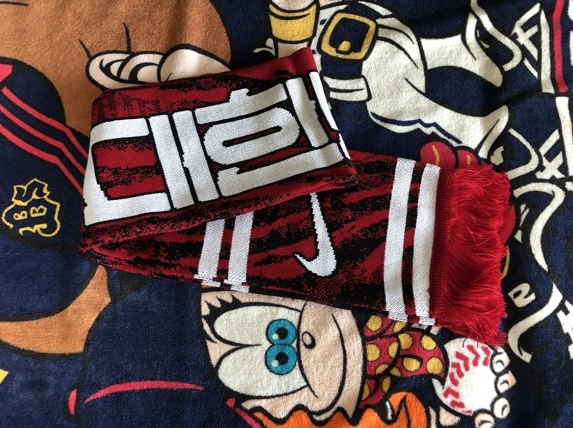 나이키 2022 카타르월드컵한정 축구국대 머플러 상품이미지10