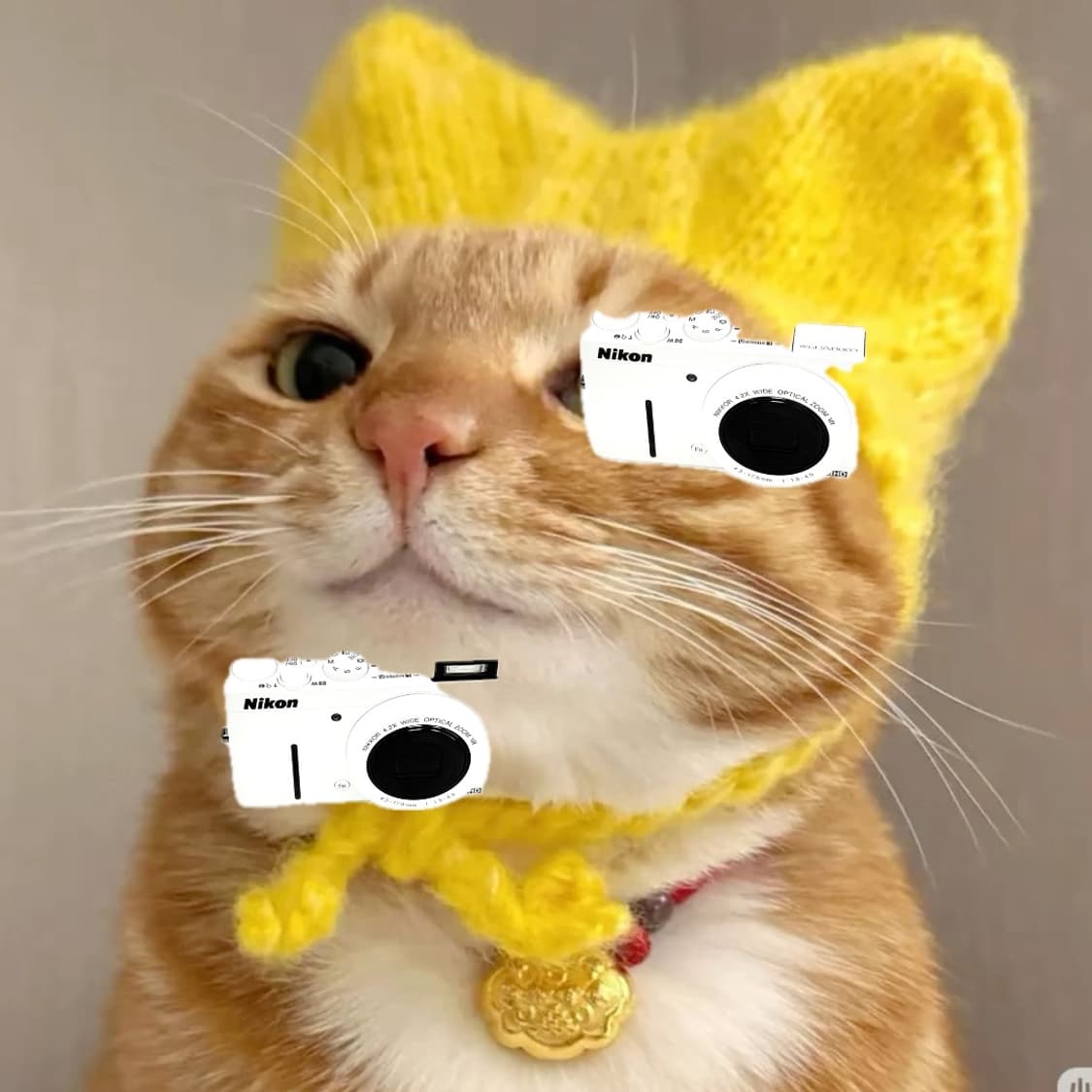 하이엔드&강추!) Nikon Coolpix P310 디카 카메라 상품이미지1