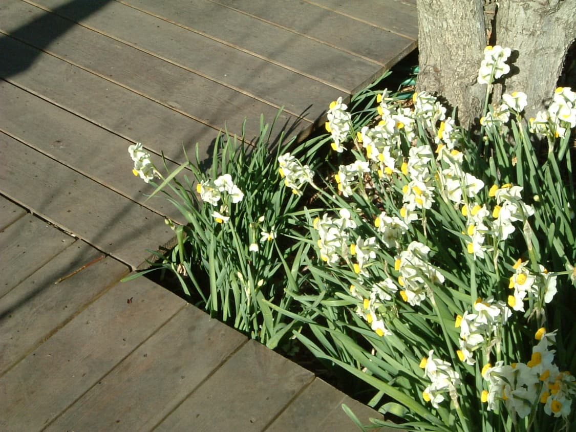 레어템✨후지필름 파인픽스 f401 풀구성 빈티지 디지털카메라 디카 필카 상품이미지4