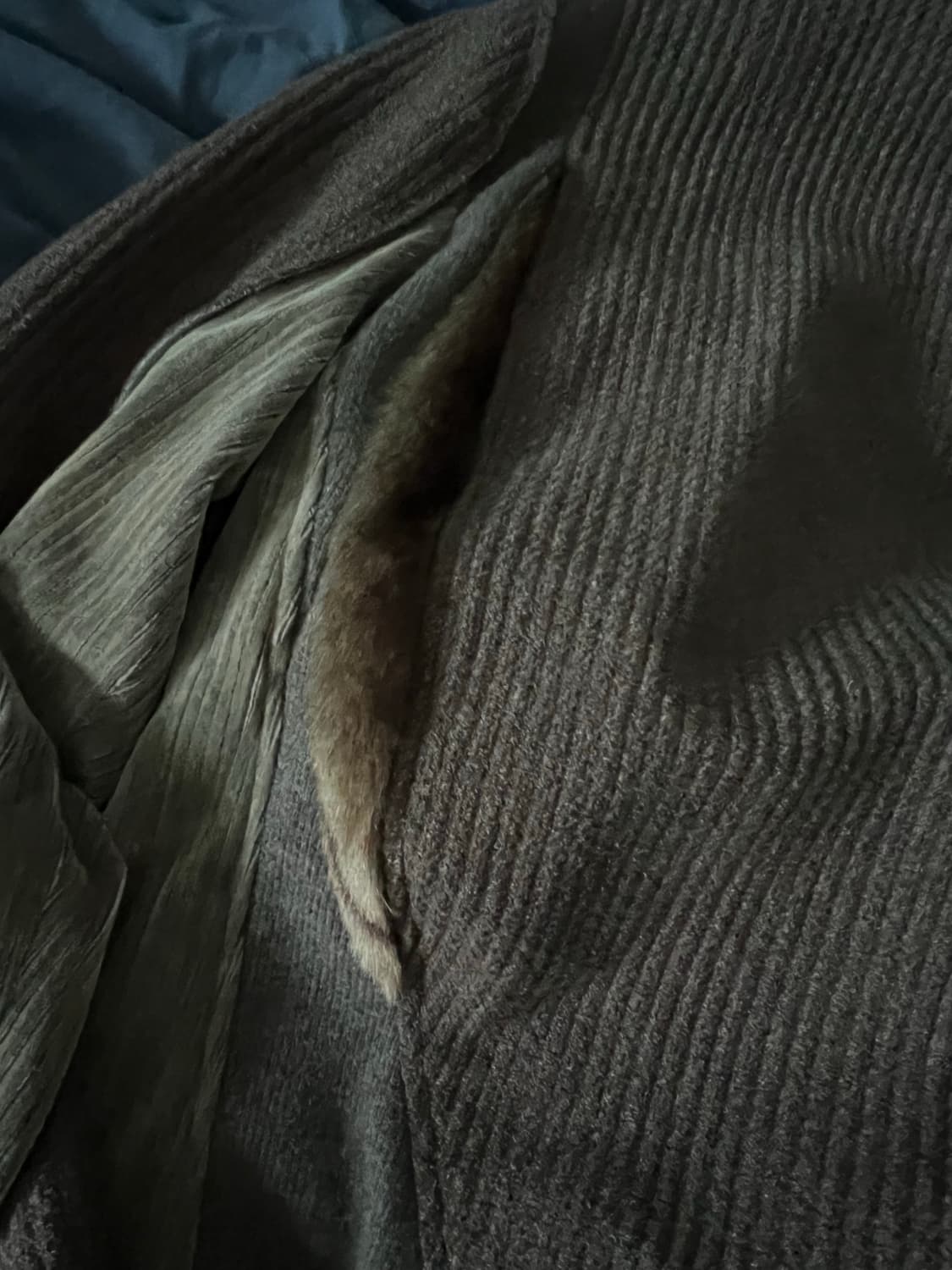 XLIM EP.8 01 JERSEY COLOR : DARK BROWN 상품이미지3