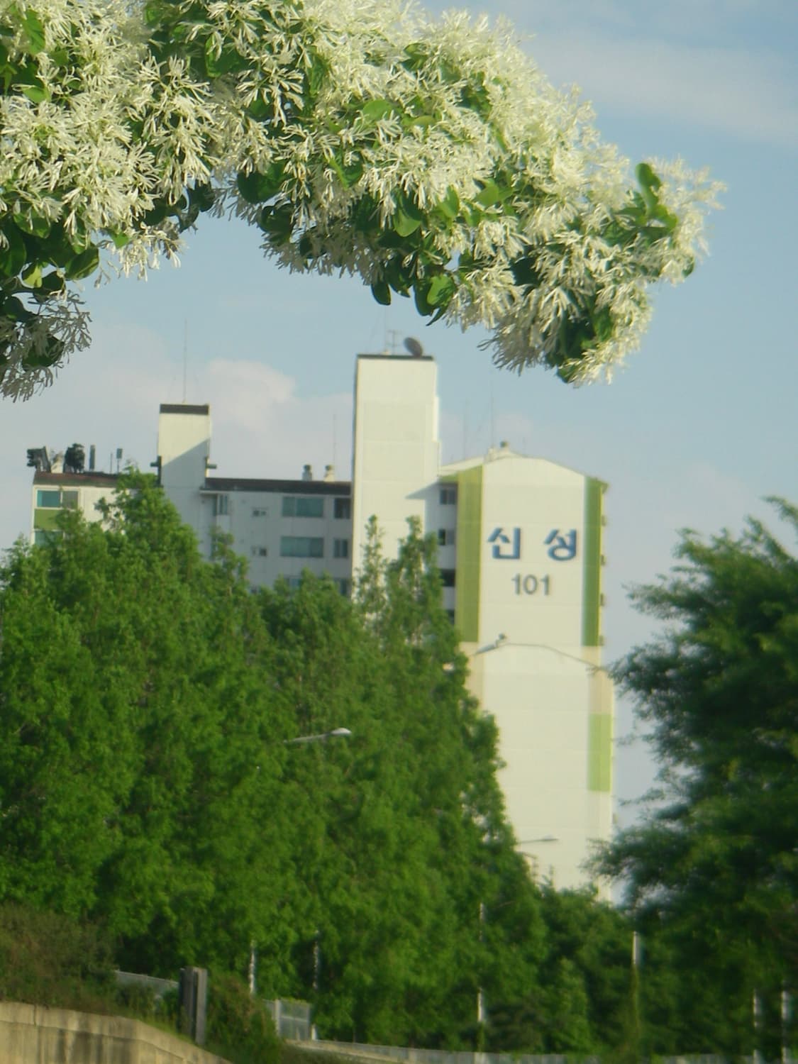 작례있음🩷 풀박스🍎 Pentax Optio W30 상품이미지10