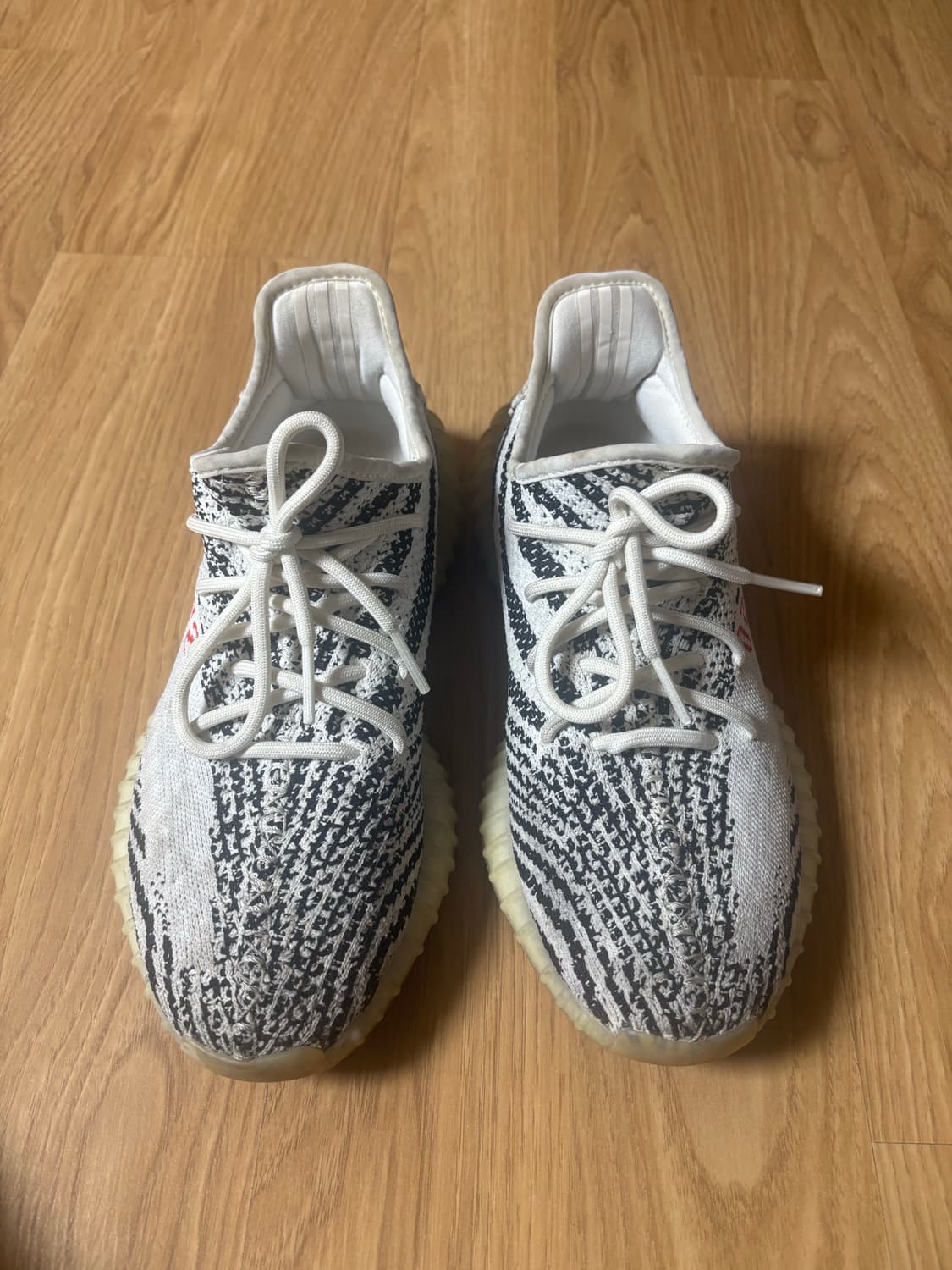 이지부스트 지브라 상품이미지1