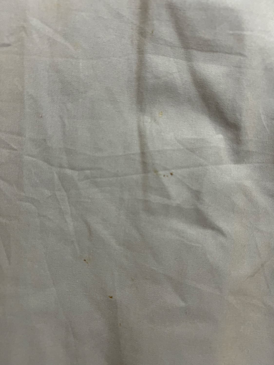 버버리 싱글코트 상품이미지3