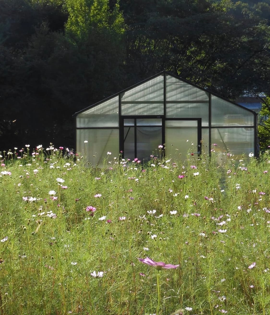 니콘 쿨픽스 s6100 Nikon coolpix 상품이미지8