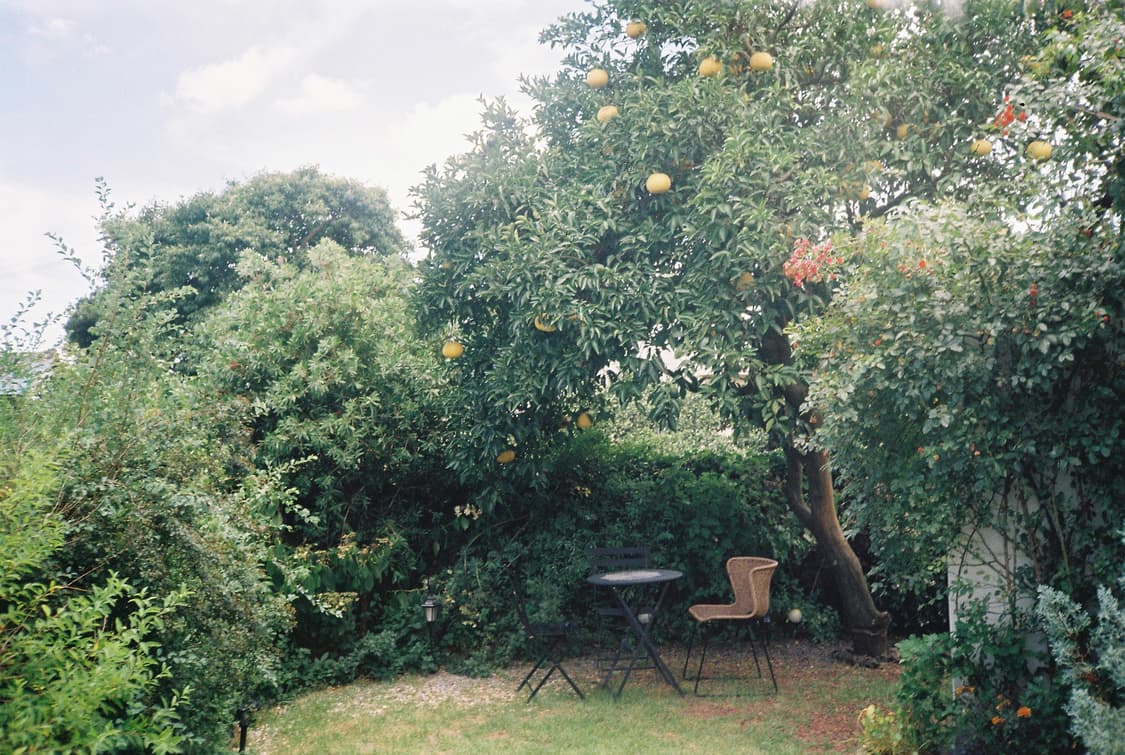 캐논 snappy s 필름카메라 상품이미지5