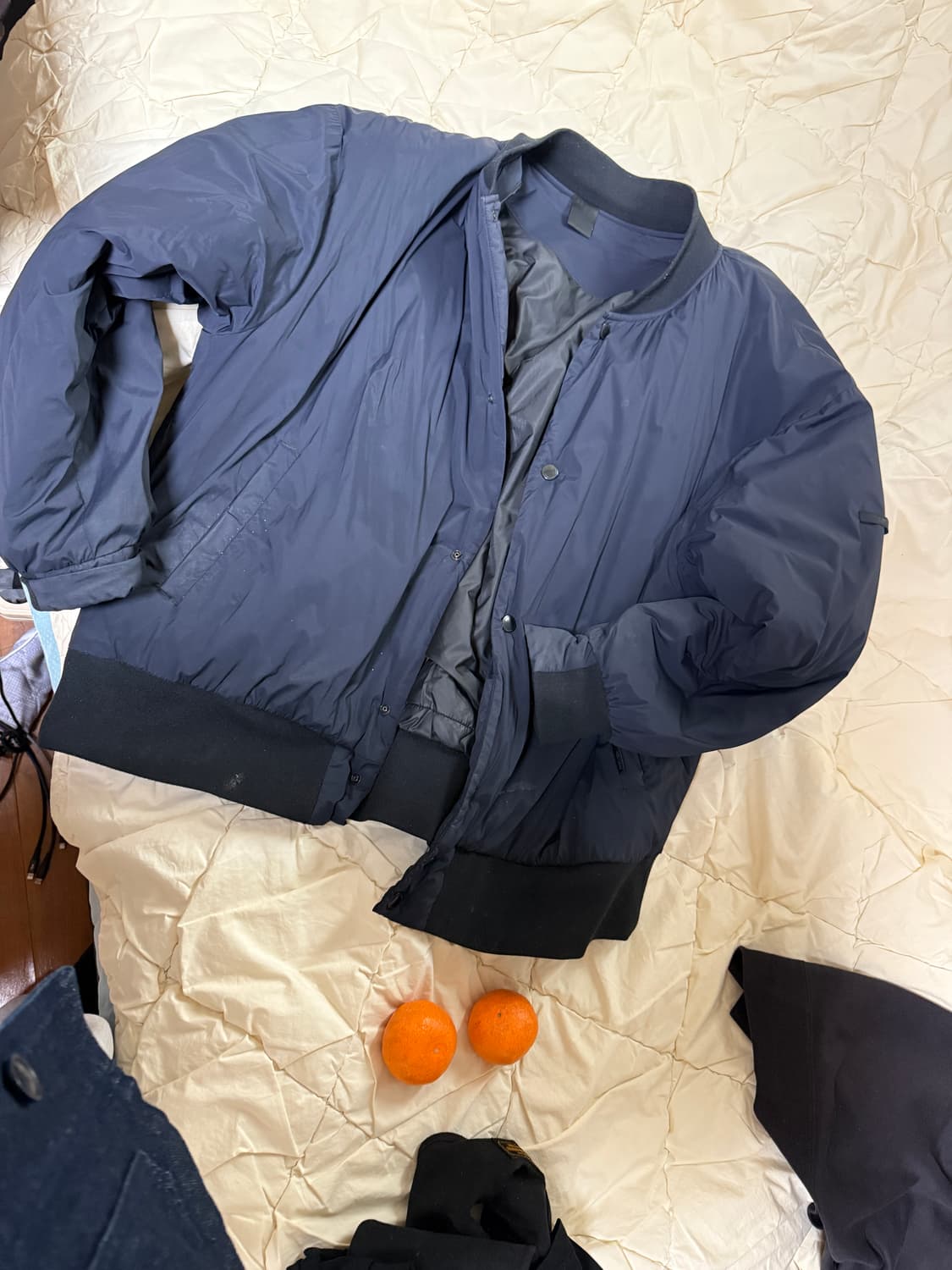 엔할리우드 정품 패디드 블루종 35만 상품이미지4