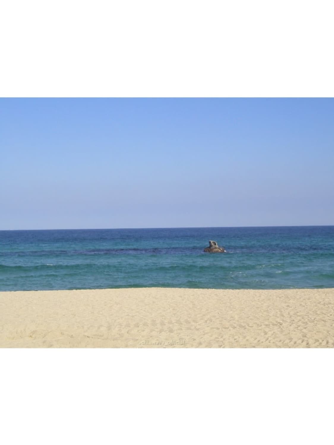 𝐎𝐥𝐲𝐦𝐩𝐮𝐬 𝐂𝐚𝐦𝐞𝐝𝐢𝐚 𝐂-𝟒𝟎 상품이미지6