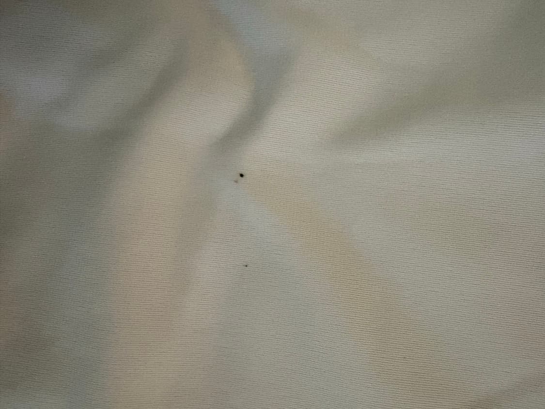 아디다스 파이어버드 배지 트랙탑 클라우드 화이트 상품이미지3