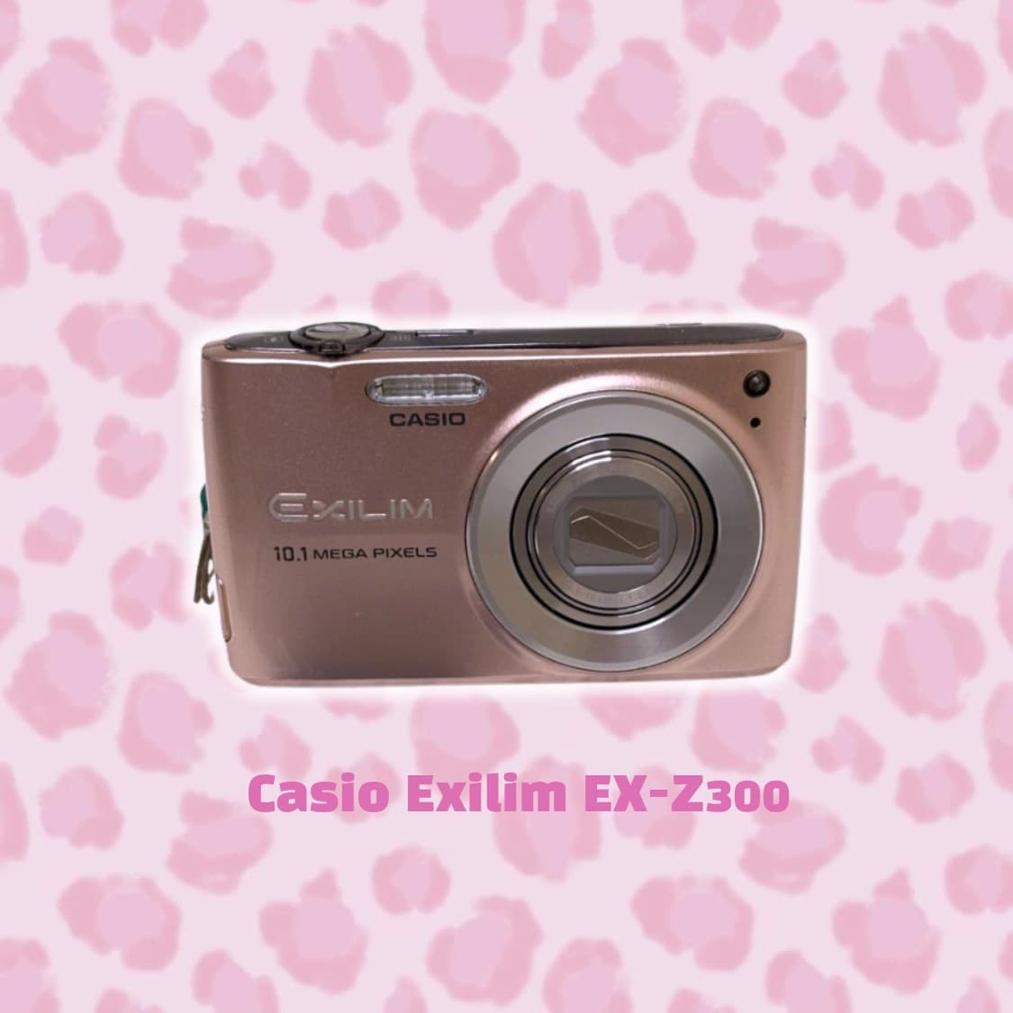 𓊆ྀི희귀/입문용𓊇ྀི Casio Exilim EX-Z300 상품이미지1