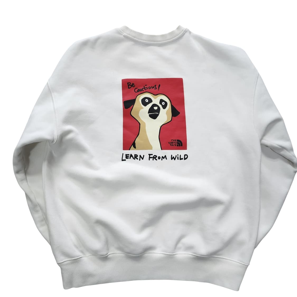 노스페이스 맨투맨 상품이미지3