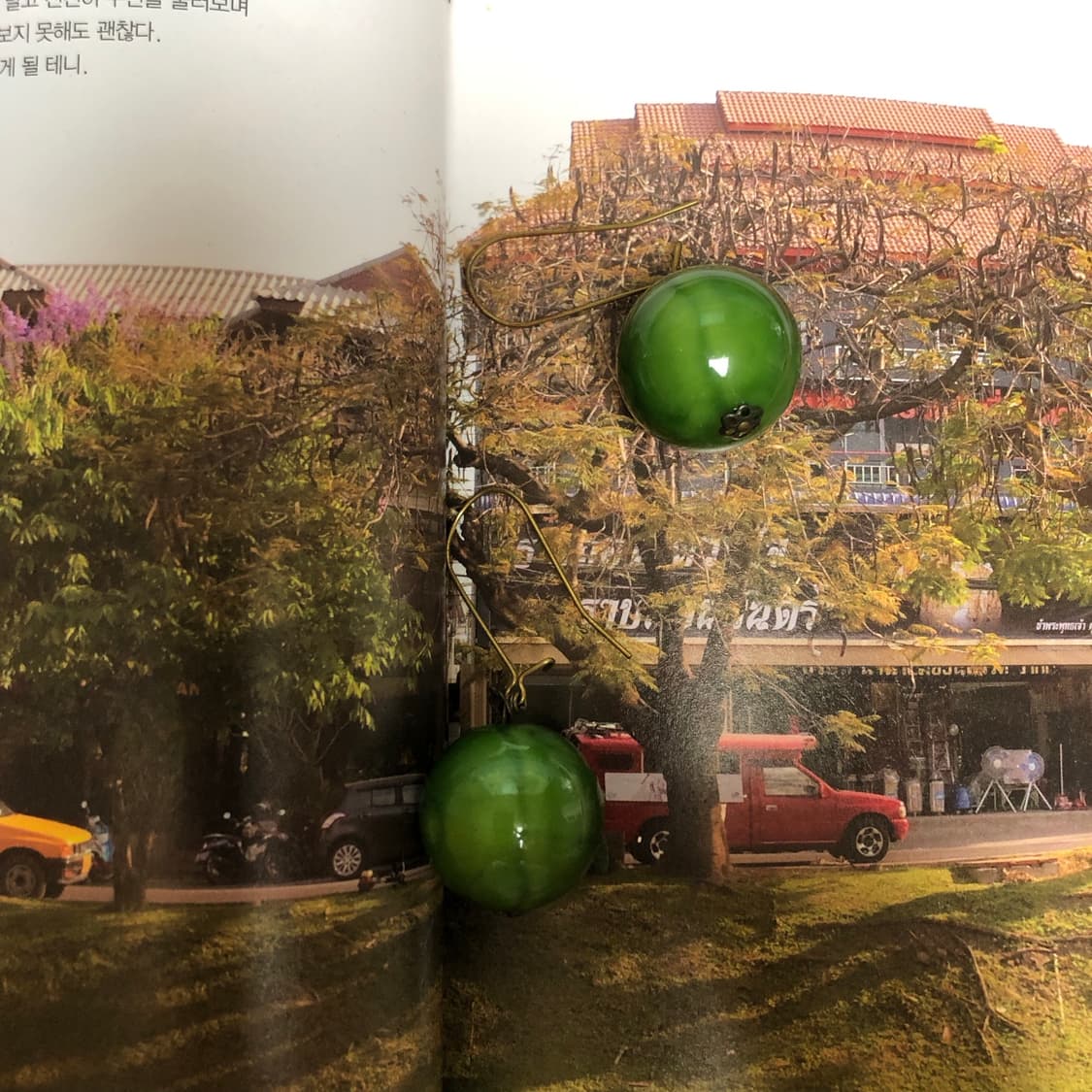 림보 결과 18 🪥  상품이미지3