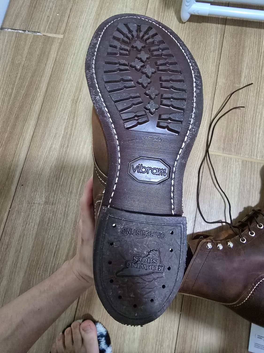 레드윙8085 상품이미지4