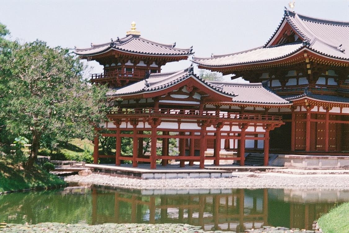 작례O 따뜻한 감성 삼성 케녹스 apex 300 필름카메라 빈티지 필카 상품이미지2