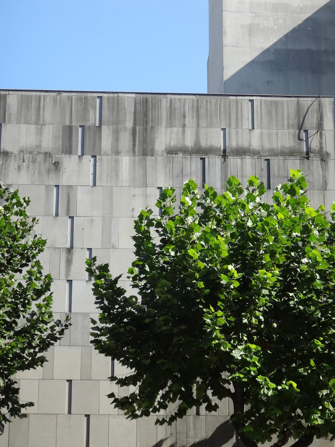 희귀!!) 소니 dsc-tx55 사이버샷 핑크디카  상품이미지9