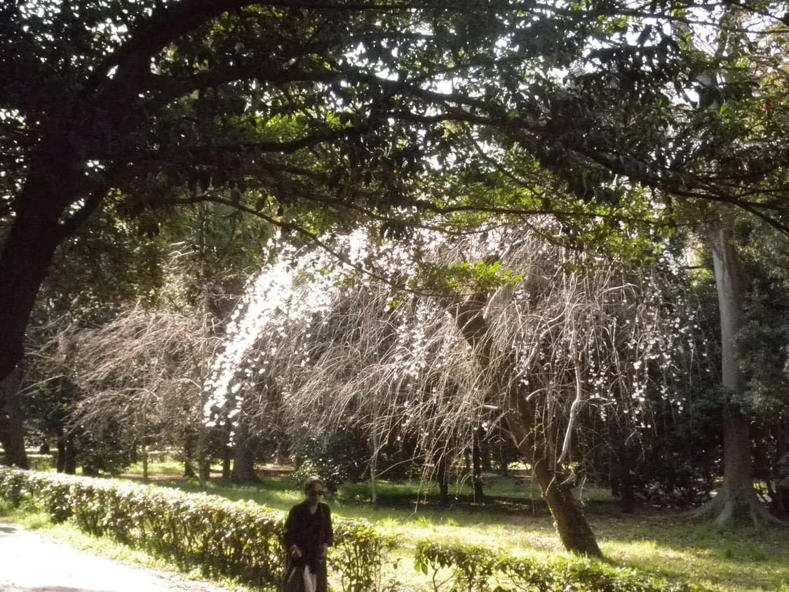 하투하 디카 올림푸스 뮤 7040 레어 핑크 작례 o 상품이미지3