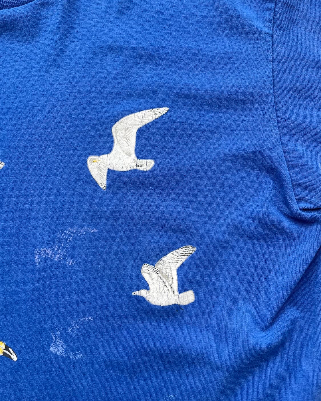 90‘s USA “Galveston Island” 🕊️ T-shirt 상품이미지6