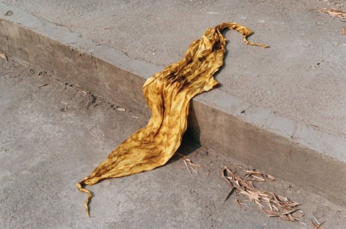 Zara x Fanglu Lin - scarf 상품이미지1