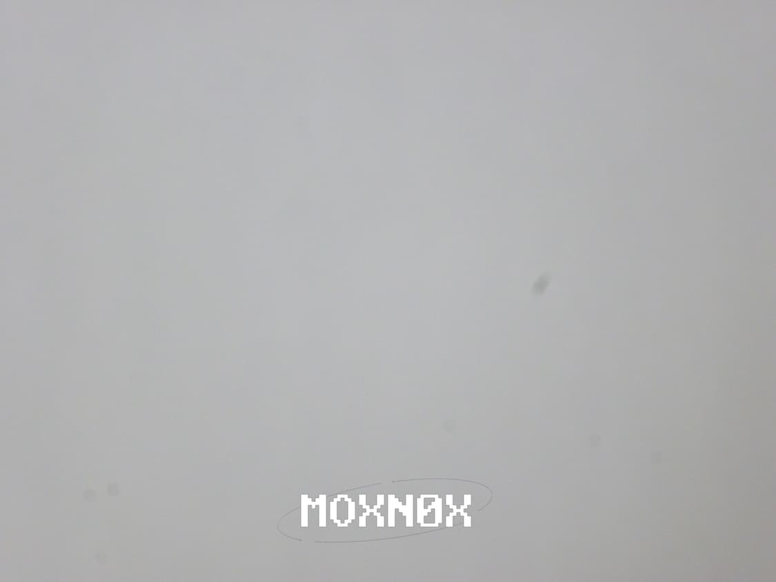 딸기우유 핑크 파나소닉 루믹스 디카 Panasonic Lumix S1 상품이미지10