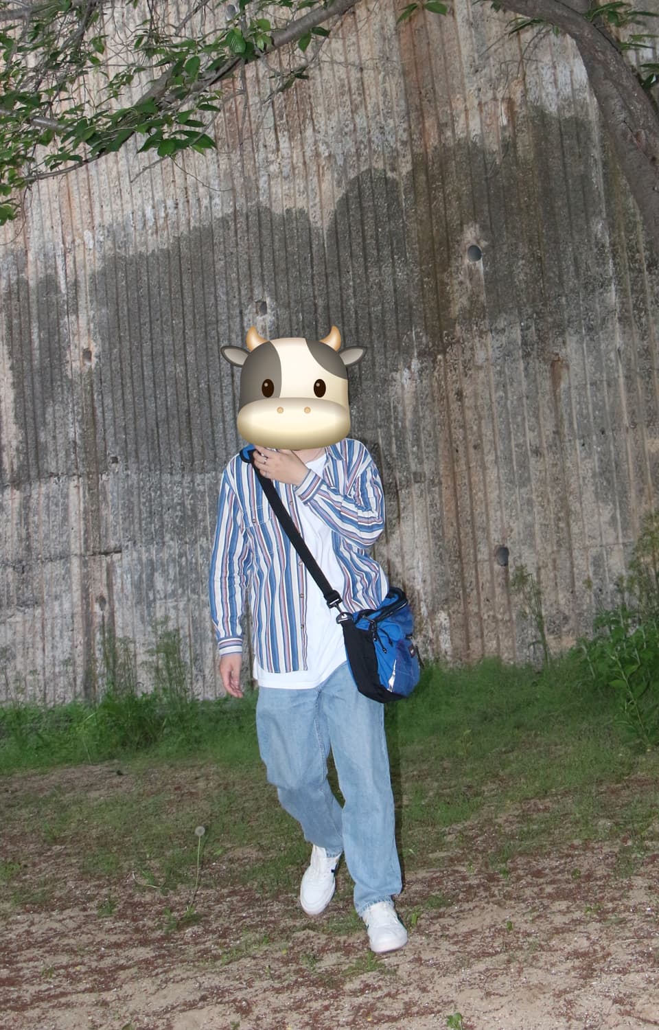 봄 코튼 셔츠 상품이미지2