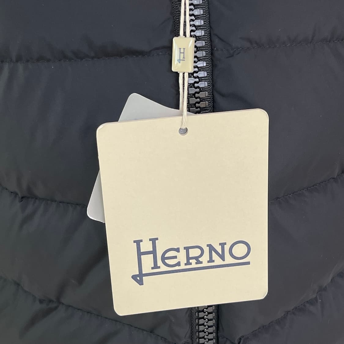 에르노 폴라테크 패딩 38 새제품 (44) 상품이미지3