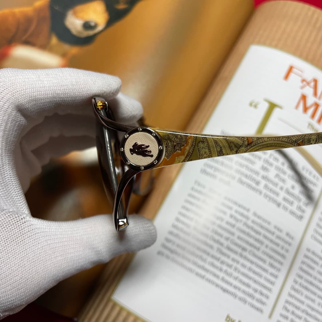 ETRO 에트로 선글라스 명품 안경 상품이미지2