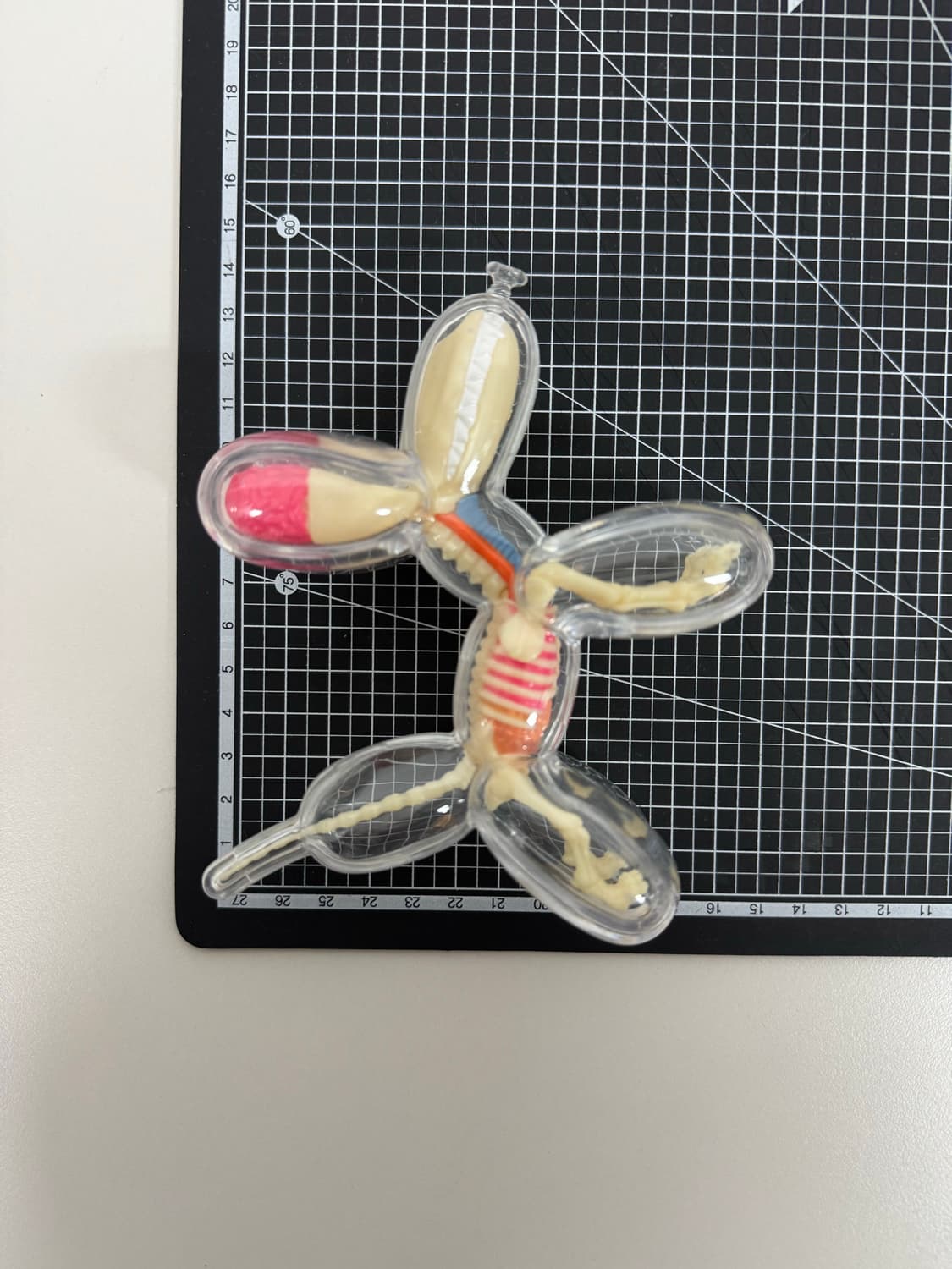 제이슨프리니 제프쿤스 4d마스터 벌룬독 아트토이 라지,스몰 세트 상품이미지10