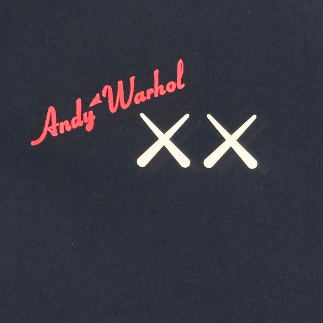 UNIQLO X KAWS X ANDY WARHOL 코치 재킷 네이비4XL 상품이미지2