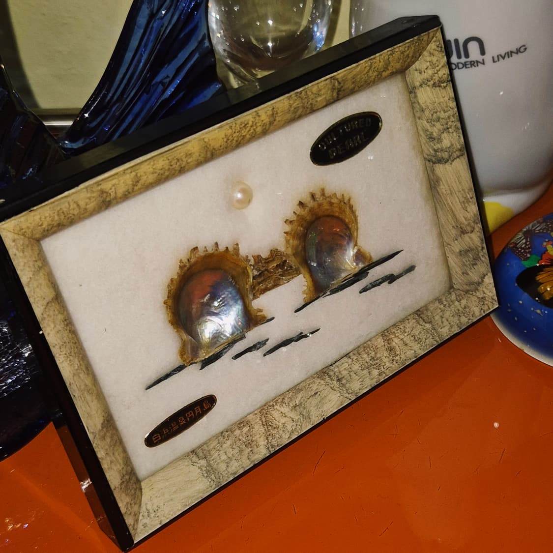 50s 이세시마 엔틱 진주 표본 조개 액자 상품이미지5