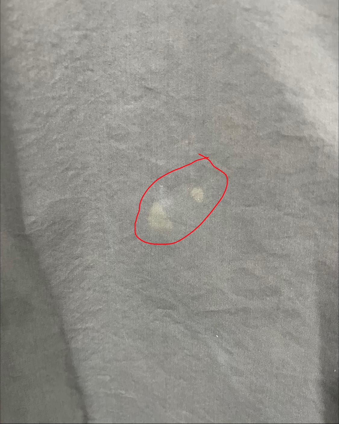 Back Number blouson jacket 상품이미지7