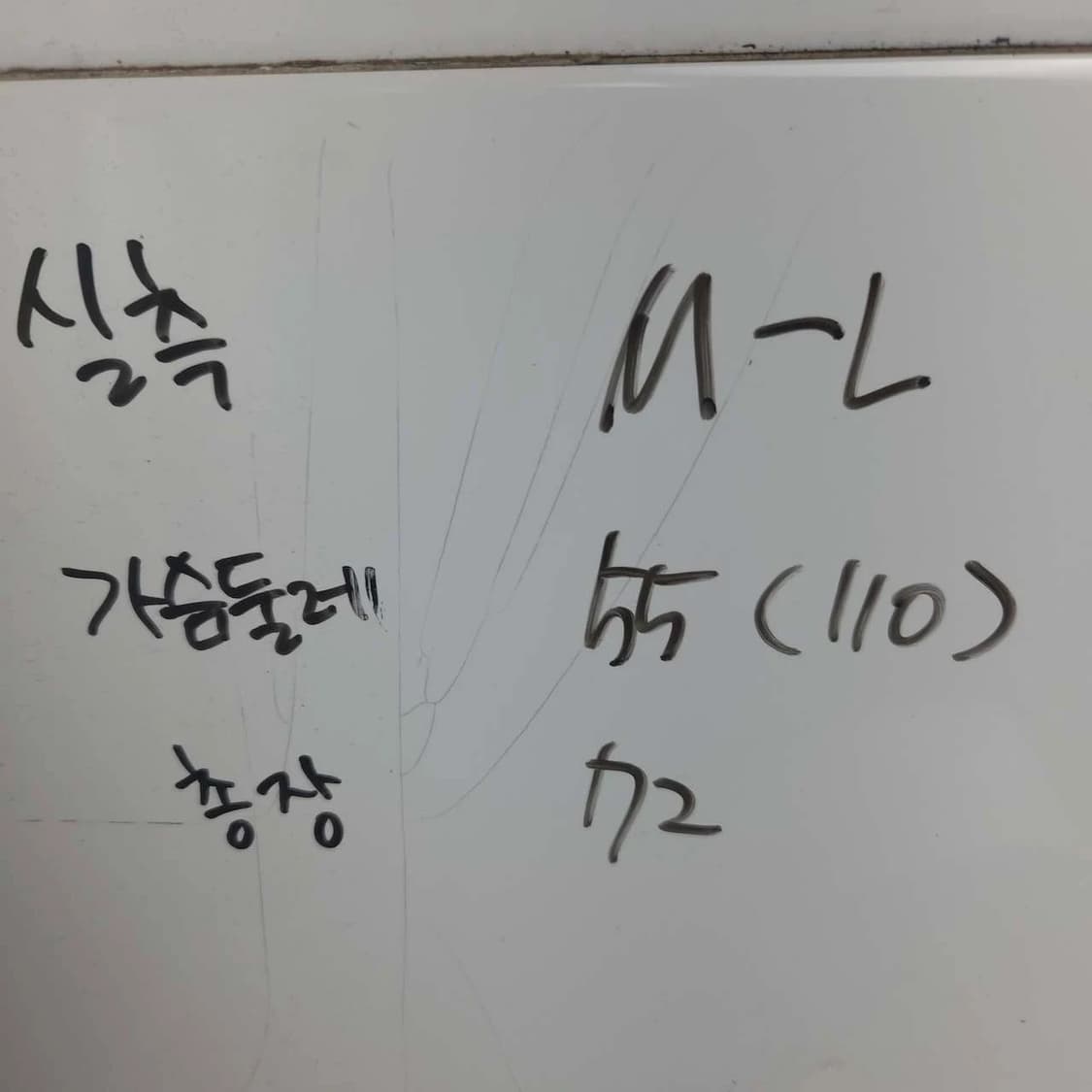 여M-L 자라 프린팅 반팔 티셔츠 연노랑 상품이미지5