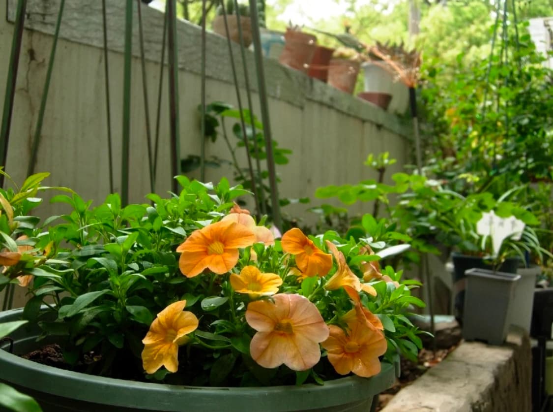 (마지막가격/작례○)니콘 쿨픽스 p4 상품이미지9