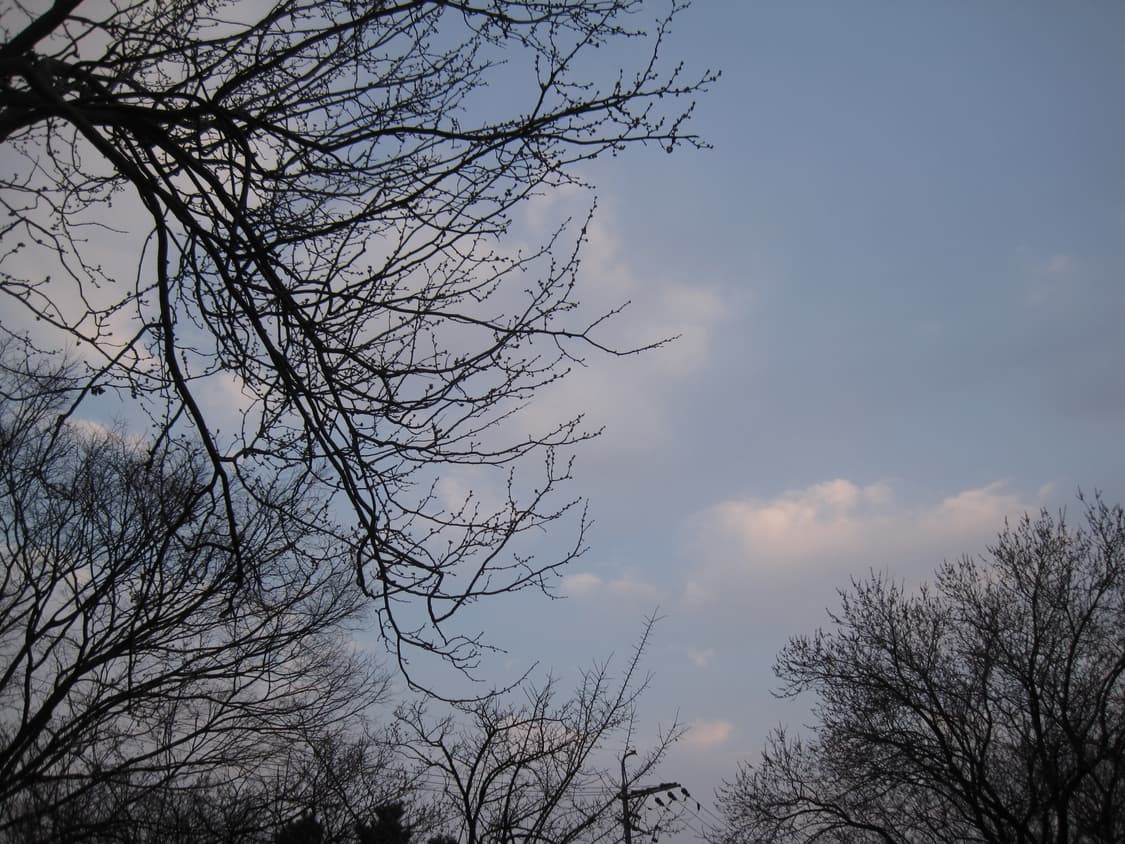 익서스95 작례 상품이미지3