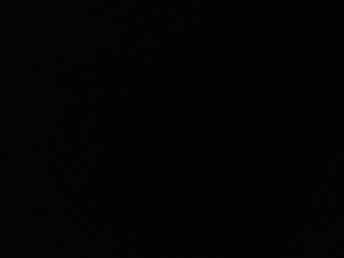 디키즈 버뮤다팬츠 상품이미지1